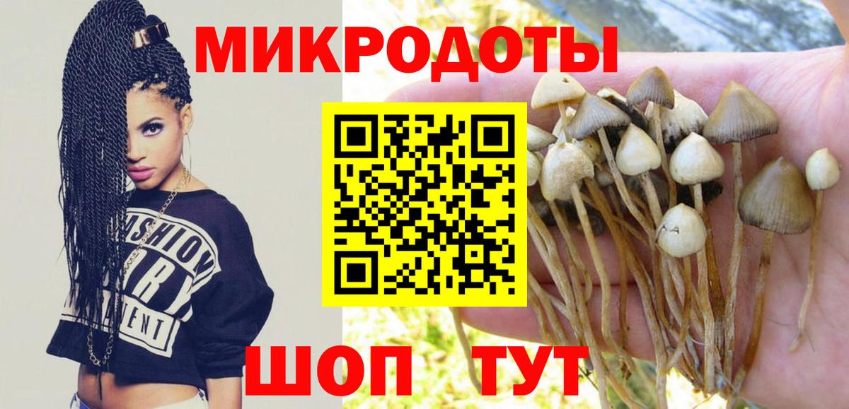 Жигулёвск  Псилоцибиновые грибы Psilocybine cubensis  Вход с VPN  Псилоцибиновые грибы ЛСД 