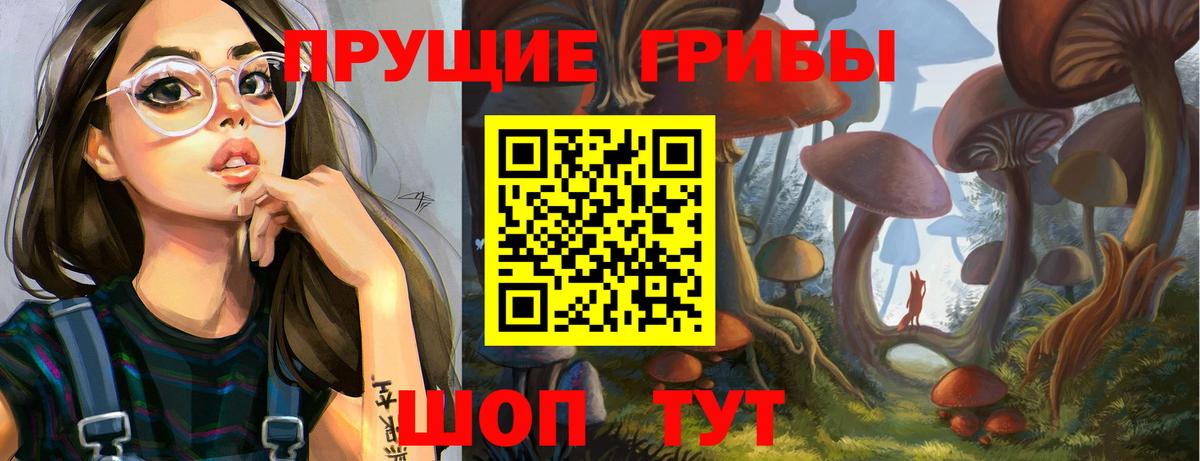 Псилоцибиновые грибы Psilocybe Жигулёвск